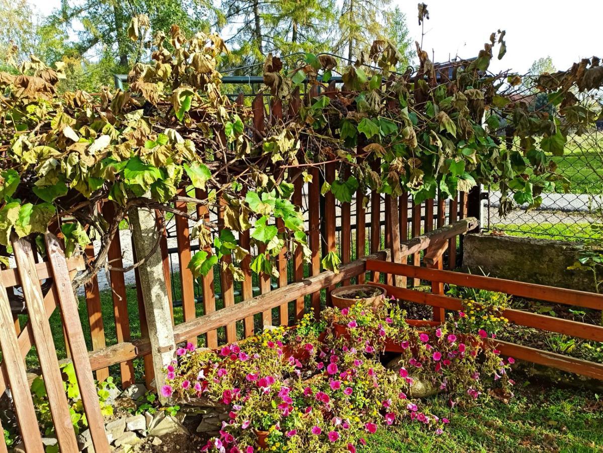 Pokoje Goscinne Duda Bialka Tatrzanska Ngoại thất bức ảnh